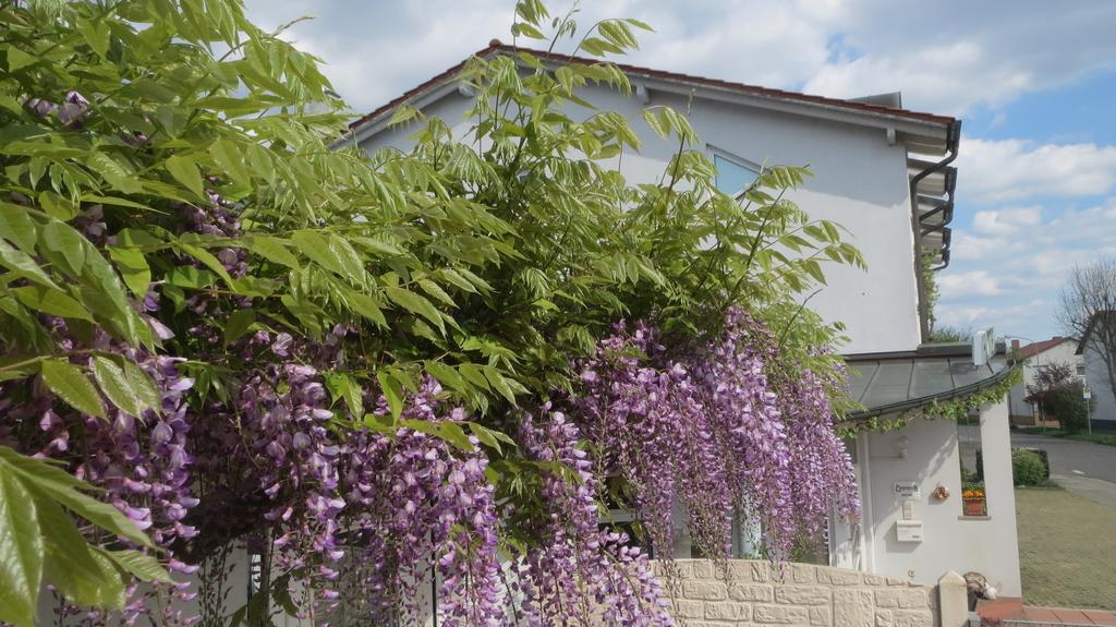 Lindner'S Hotel Bellheim Εξωτερικό φωτογραφία